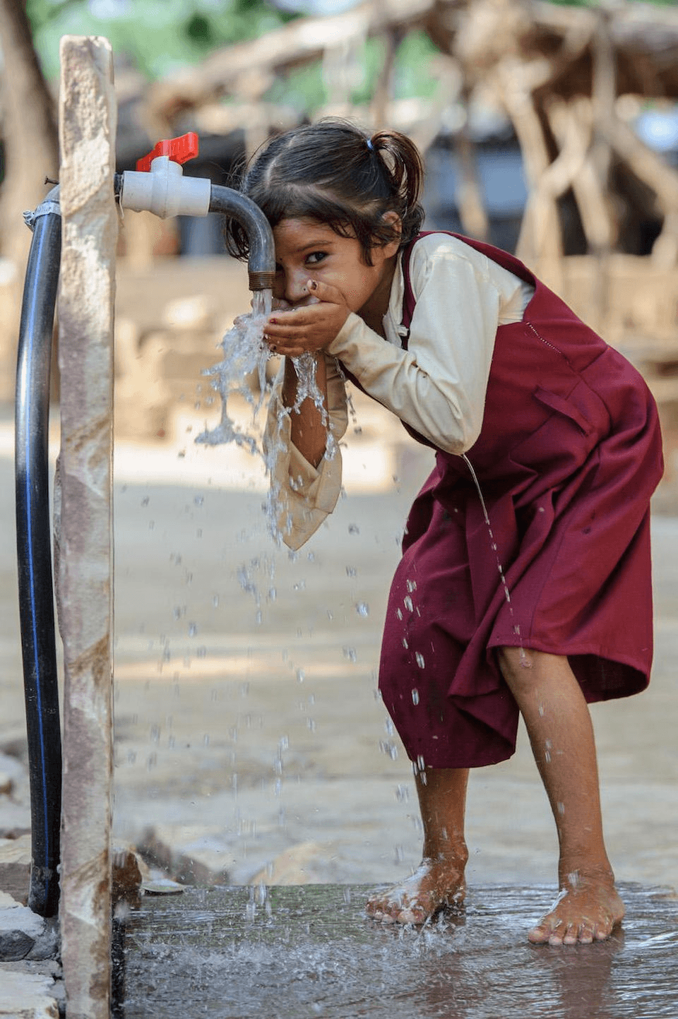 NiVan Foundation on social media — post s4